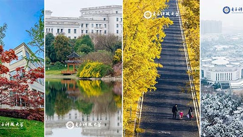 电容柜投切时间设置：关键因素与优化策略